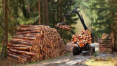 Agrar- und Forstwirschaft