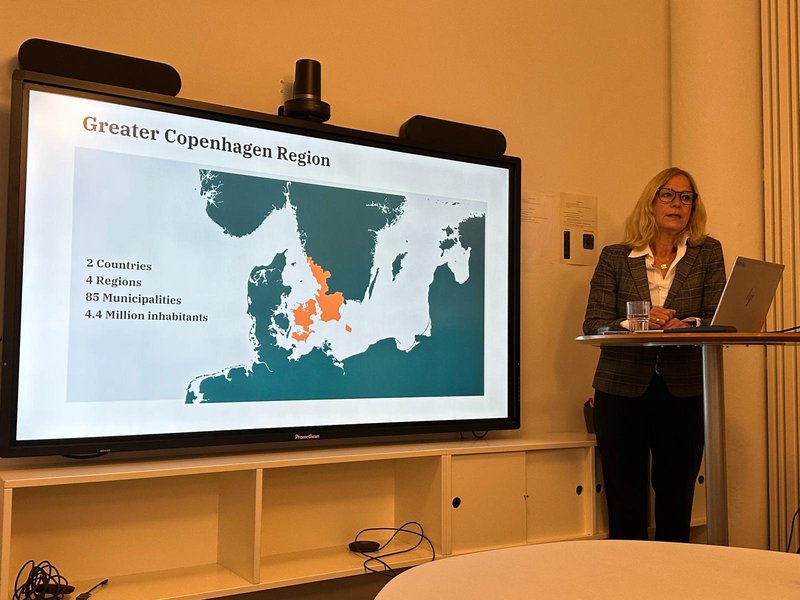 Copenhagen Capacity.jpg